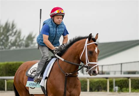 pegasus world cup stakes 2023
